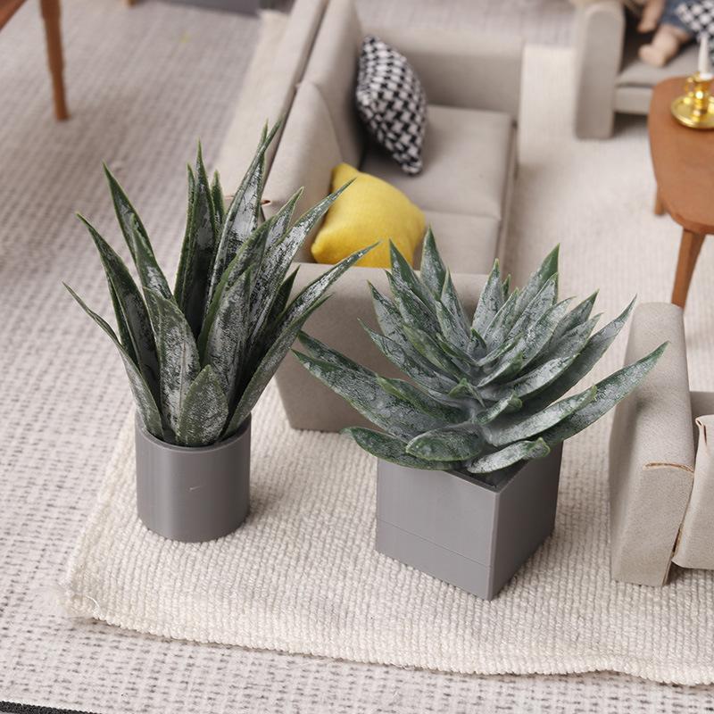 Aloe Vera Pot - زينة نبات الصبار المصغر في وعاء،