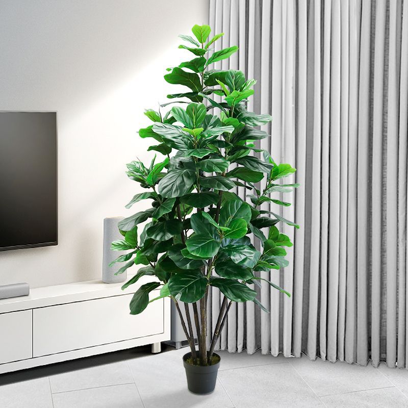 Ficus Lyrata Tree - نبات فيكس ليراتا صناعي كبير الحجم
