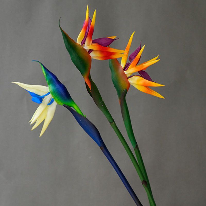 Bird Paradise Strelitzia - زهرة طائر الجنة الاصطناعية، نبات ستريليتزيا