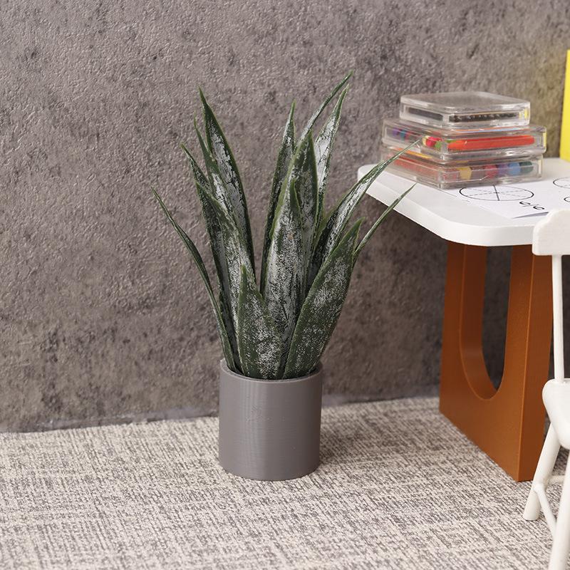 زينة نبات الصبار المصغر في وعا - مراجعة Aloe Vera Pot وسعره