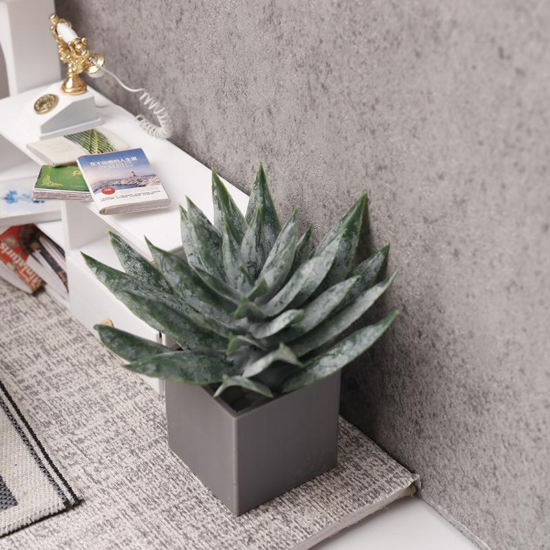 زينة نبات الصبار المصغر في وعا - مراجعة Aloe Vera Pot وسعره