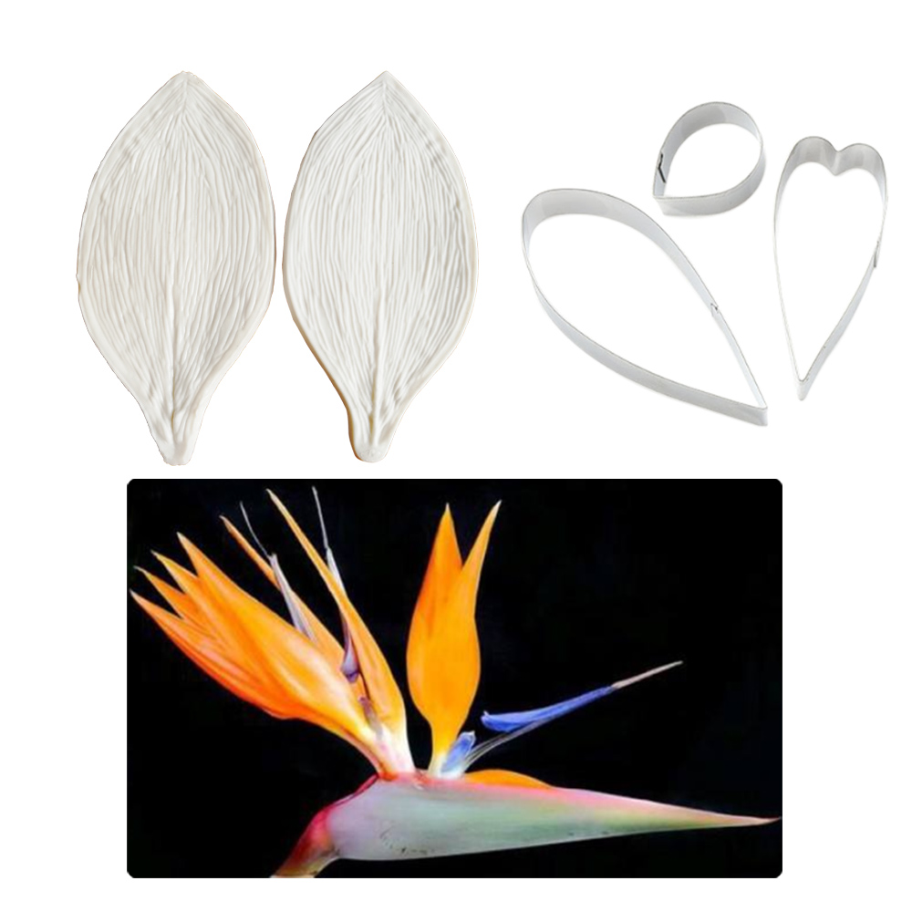كبير gumhang Strelitzia الطيور - مراجعة Bird Paradise Strelitzia وسعره