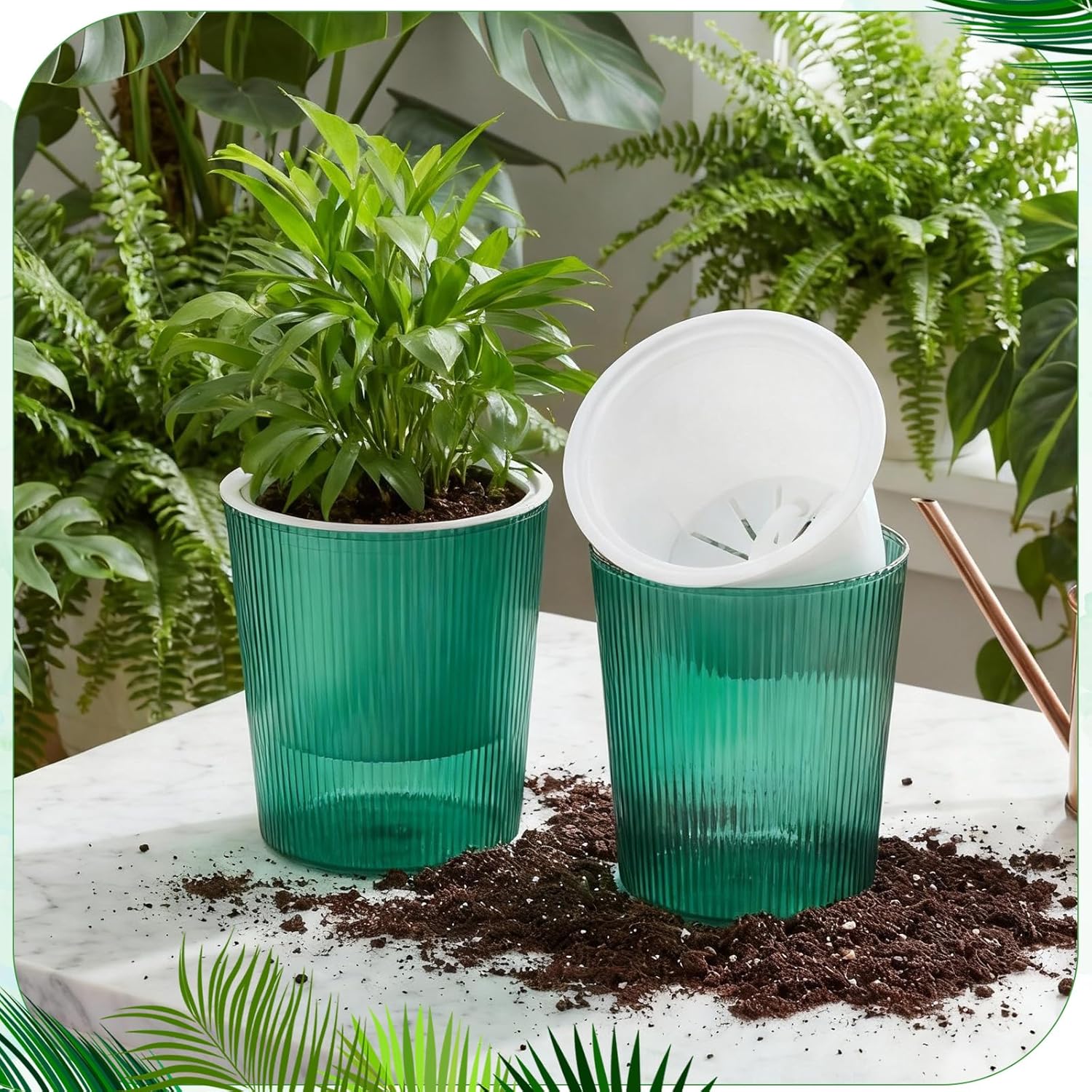 أواني زراعة ذاتية الري شفافة ل - مراجعة Aloe Vera Pot وسعره