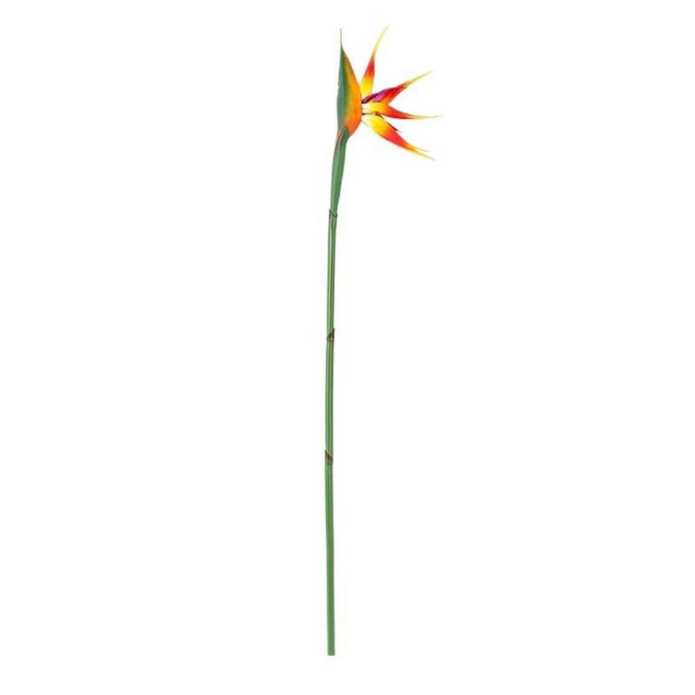 زهور طائر الجنة الاصطناعية طوي - مراجعة Bird Paradise Strelitzia وسعره