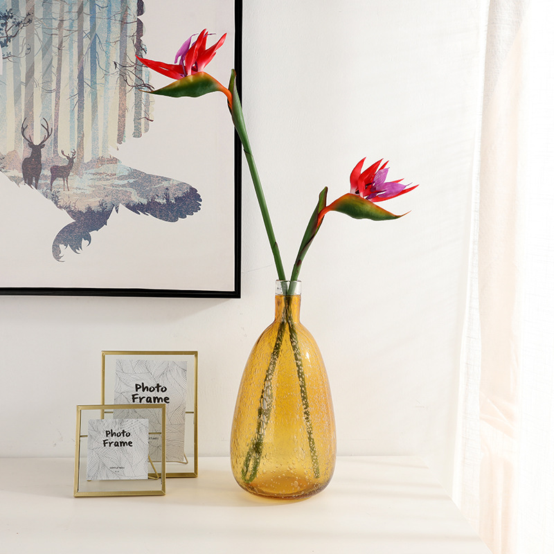 قطعتان من زهور السترليتازيا ال - مراجعة Bird Paradise Strelitzia وسعره