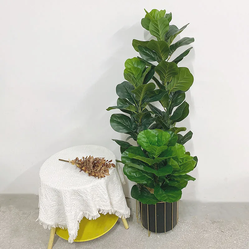 نبات فيكس ليراتا صناعي كبير ال - مراجعة Ficus Lyrata Tree وسعره