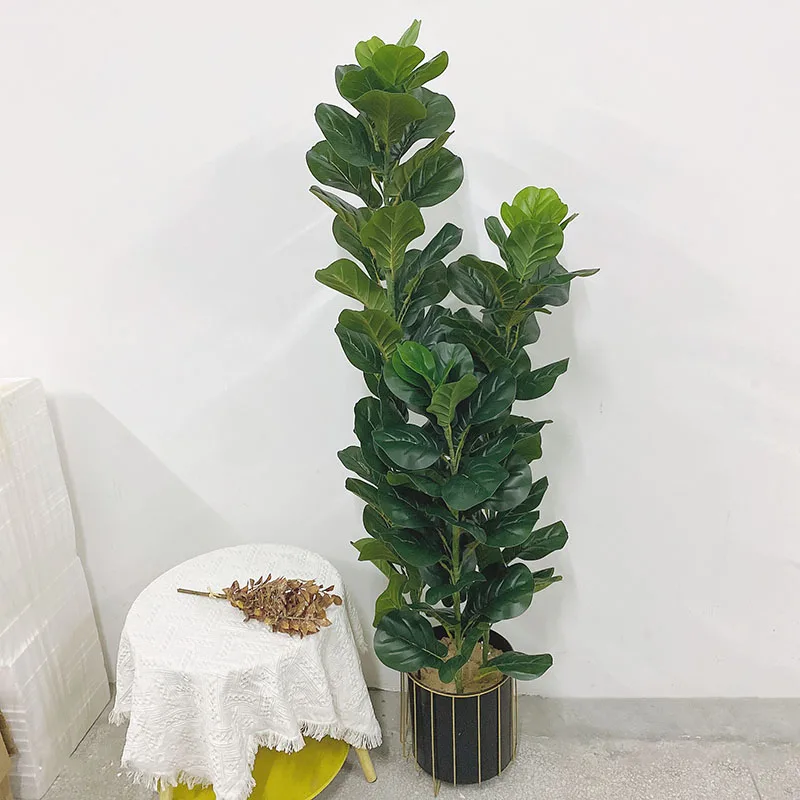 نبات فيكس ليراتا صناعي كبير ال - مراجعة Ficus Lyrata Tree وسعره