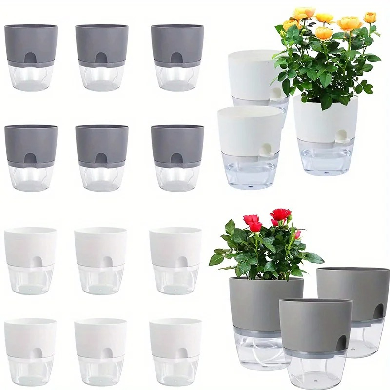 10/5 قطعة اناء للزهور البلاستي - مراجعة Aloe Vera Pot وسعره