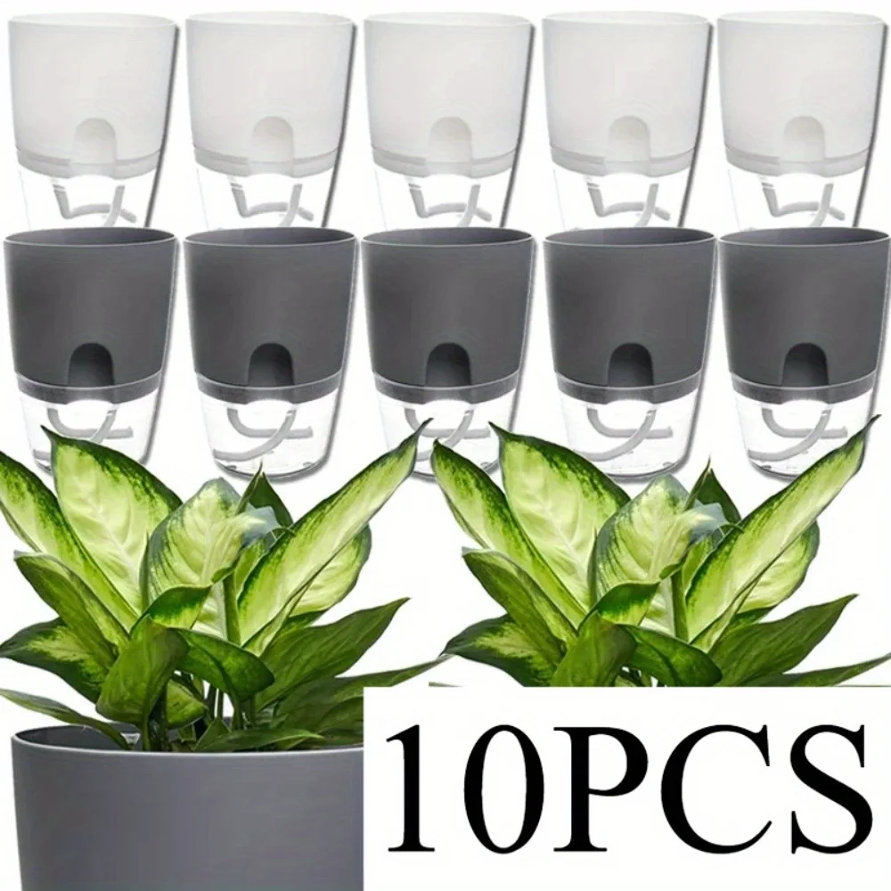 10/5 قطعة اناء للزهور البلاستي - مراجعة Aloe Vera Pot وسعره